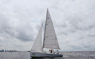 The Elephant Trick: How to Tackle Overwhelming Leadership Challenges One Step at a Time