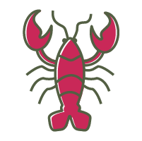 Lacey the lobster