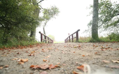 A Bridge Back to Trust (From Someone Who’s Built a Few)