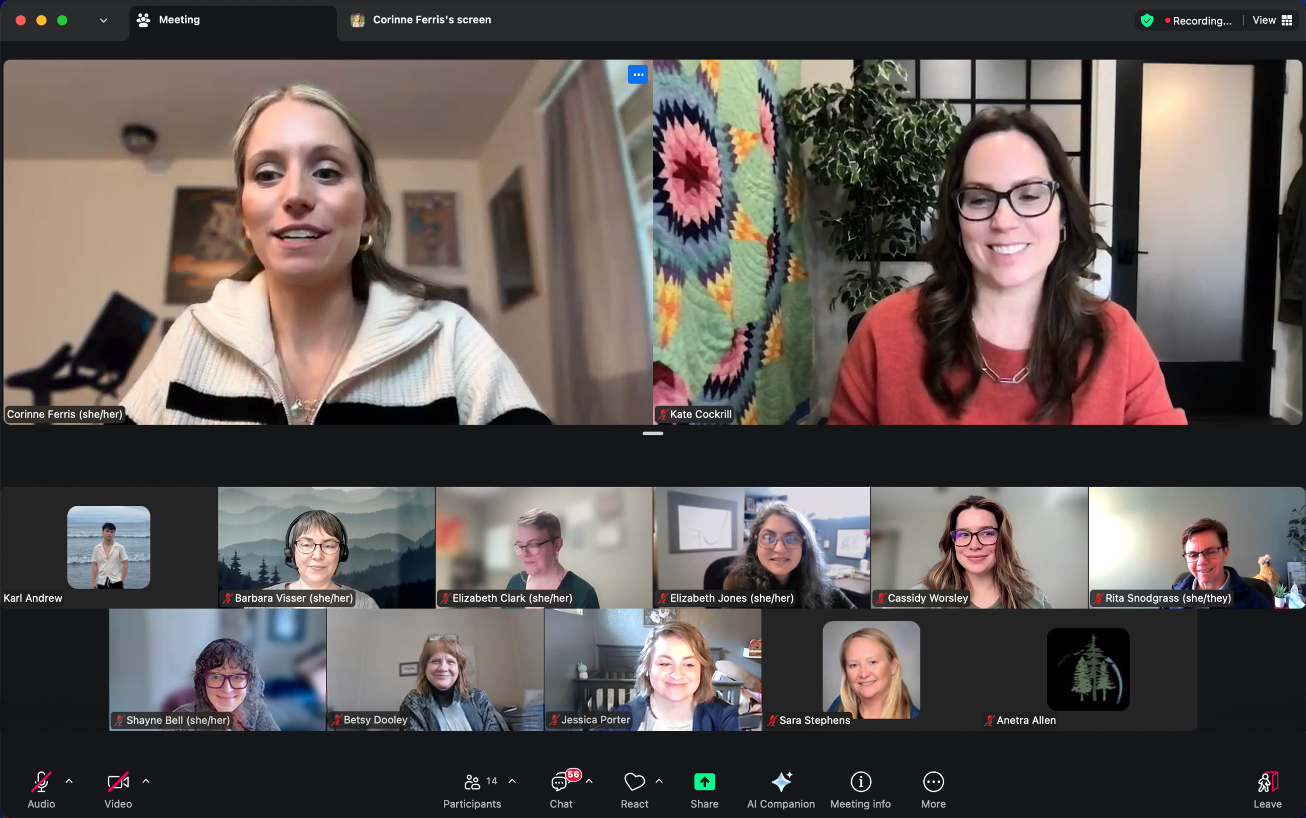 February Webinar Screenshot
